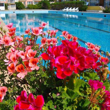 Sunshine Pearl Family Hotel Kavarna Exteriér fotografie